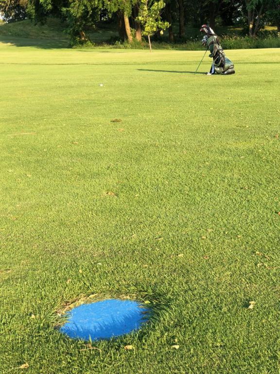 Drive Prairie #9